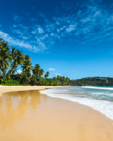 Idyllic Beach Sri Lanka