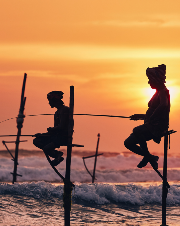Traditional Stilt Fishing in Sri Lanka